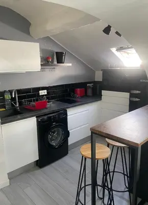 a kitchen with a washing machine and a table at Studio Cannes banane in Cannes