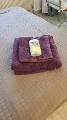 a bed with purple towels and a soap on it at Cannes Studio privé climatisé et bon wifi in Cannes