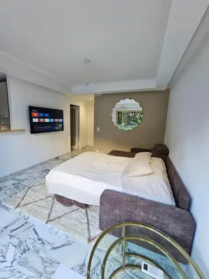 a bedroom with a large bed and a tv at Charmant studio centre de Cannes in Cannes