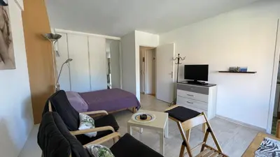 a living room with a couch and a bed at Comfortable studio near the beaches in Cannes