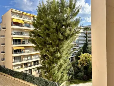 a pine tree in front of a building at Cannes La Croisette - PALAIS MIRAMAR - Studio au calme coté jardin in Cannes