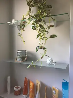 a shelf with a plant on top of it at Le jasmin du Riou in Cannes