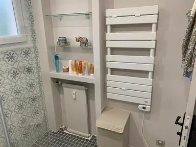 a bathroom with a shower with a toilet and a shelf at Le jasmin du Riou in Cannes