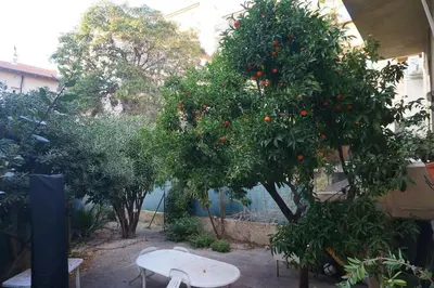 an orange tree and a white table in a courtyard at Grand studio de 30m2 !central !spacieux !différent ! in Cannes