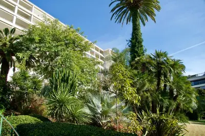 a palm tree in front of a building at WE CANNES ! Résidence Gallia apartment premium two bedroom in Cannes