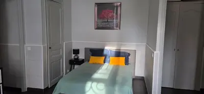 a bedroom with a bed with two yellow pillows at Charmant studio in Cannes