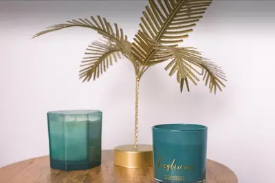 a palm tree and a glass on a table at appartement Carré d’or 2 pas de la croisette in Cannes