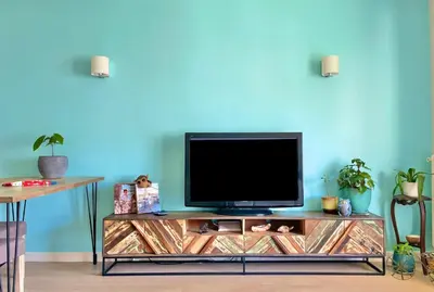 a tv sitting on top of a entertainment center at Palm Beach apartment in Cannes