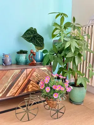 a shelf with plants and potted plants on it at Palm Beach apartment in Cannes
