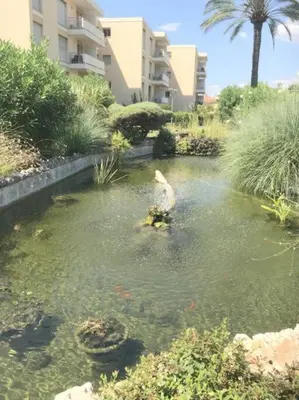 a bird sitting in the water in a pond at Studette Pointe Croisette - Axelle Loc'Appart in Cannes