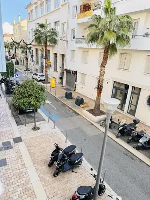 a row of motorcycles parked on a street with a palm tree at Studio chaleureux proche croisette Mimont29 in Cannes