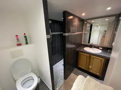 a bathroom with a toilet and a sink at Holiday Home l'Angelet in Vallauris