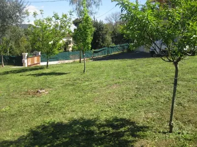 two trees in a yard with a fence at Holiday Home l'Angelet in Vallauris