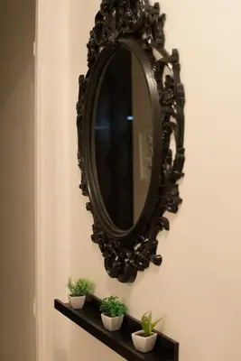 a mirror on a wall with potted plants on a shelf at Cannes Croisette Studio 3 pers Cosy CLIM WIFI PKG in Cannes