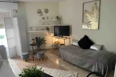 a living room with a bed and a flat screen tv at Cannes Croisette Studio 3 pers Cosy CLIM WIFI PKG in Cannes