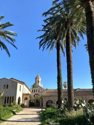 a building with palm trees in front of it at Luxury Cannes in Cannes
