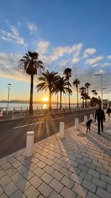 a person walking a dog on a sidewalk near the beach at Le Week Riviera III -3 étoiles-Plage du midi-Grande terrasse-Piscine-Cannes- Palais des Festivals in Cannes