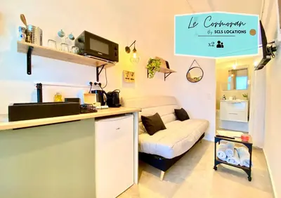 a living room with a couch in a room at Mini-Studio Le Cormoran By SCLS Locations in Cannes