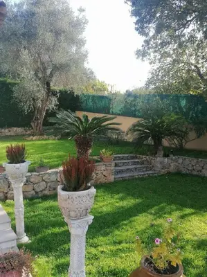 two white vases with plants in a yard at 10mn de Cannes, villa entière de 150m2. in Le Cannet