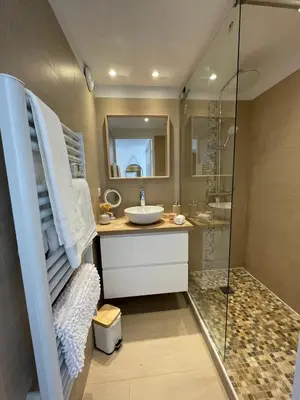 a bathroom with a sink and a shower at Duplex en bord de mer avec piscine et parking in Cannes