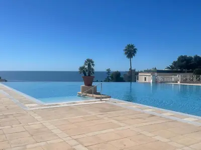 a large swimming pool with palm trees in the background at Résidence de charme avec piscine à débordement in Cannes