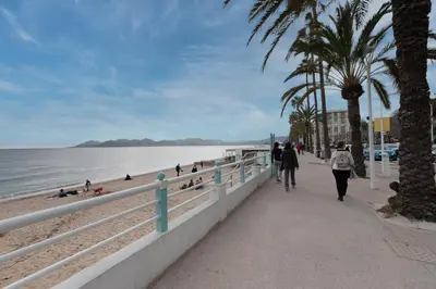 people walking along the beach with palm trees at Stylish 2 rooms in the heart of Cannes in Cannes