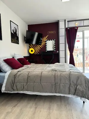 a bedroom with a large bed and a tv at Toits du vieux port in Cannes