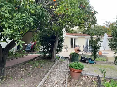 a garden with an orange tree and a house at Chez Nicole in Cannes