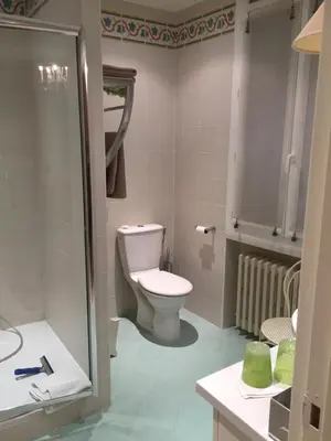 a bathroom with a toilet and a shower at Chez Nicole in Cannes