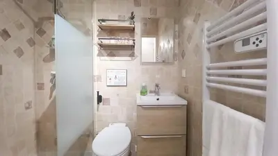 a small bathroom with a toilet and a sink at Palais Carnot central apartment with balcony and A C in Cannes