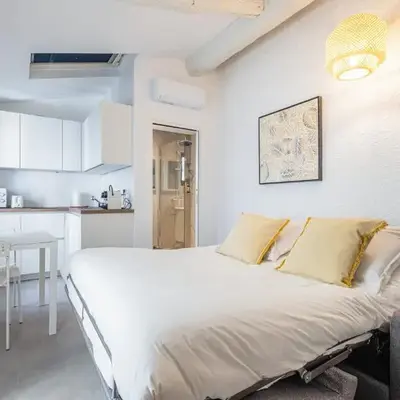 Joli studio Cannes marché forville