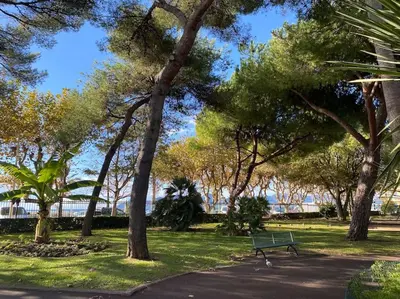 a park with a bench in the grass and trees at Très Bel Appartement Palais Festivals Plage Croisette Suquet in Cannes