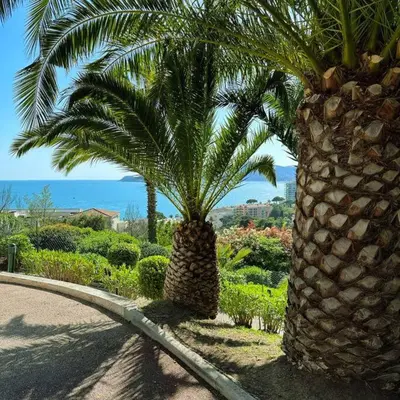 a palm tree sitting on the side of a road at Villa Francia Cannes in Cannes
