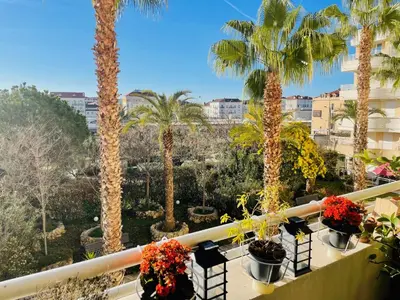 a balcony with palm trees and potted plants at Appartement T3 Cannes centre in Cannes