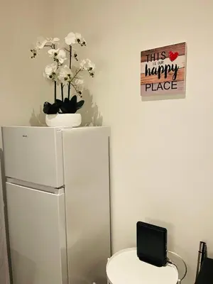 a white refrigerator with a vase on top of it at APRT Cannes Beach Festival ARNESE in Cannes