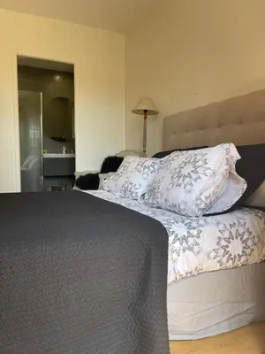 a bed with two pillows on it in a bedroom at Carolienne in Vallauris