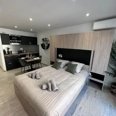 Superbe Studio avec balcon Rue d’Antibes