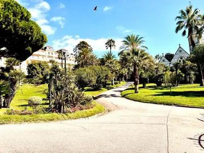 a winding road in a park with palm trees at StudioCalifornia-Parking-Plages 15 min walk in Cannes