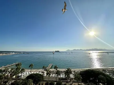 a bird flying over a body of water with a beach at Cannes Croisette - Appartement 5 pièces face mer in Cannes