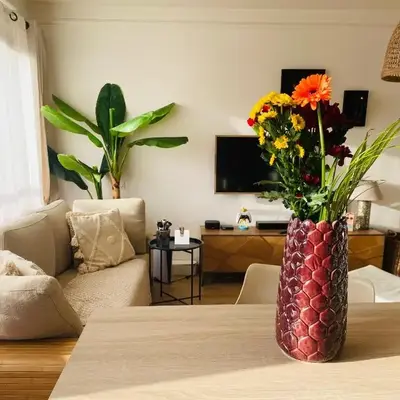 Appartement 45m2 - 4 couchages - Proche Cannes -plages à 2km -wifi rapide