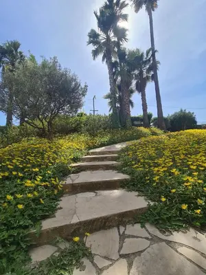 a stone path through a field of flowers with palm trees at BOCCA CABANA in Cannes