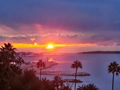 a sunset over a body of water with palm trees at Superbe vue mer à 50 mètres des plages in Cannes