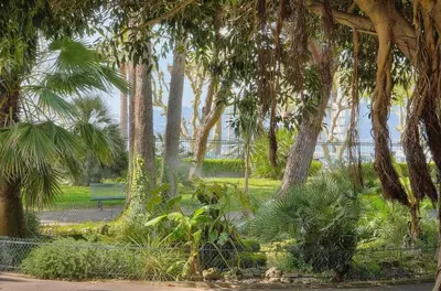 a park with palm trees and a park bench at Le Cal-3 Pièces-2 min Plage-VCA in Cannes