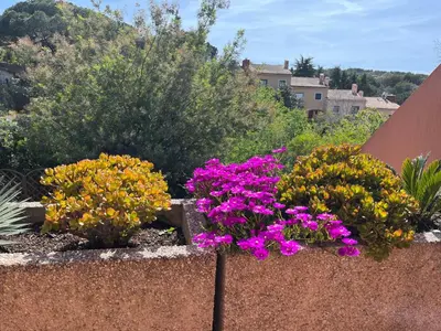 a garden with purple and yellow flowers on a fence at villa dans résidence à Cannes in Cannes