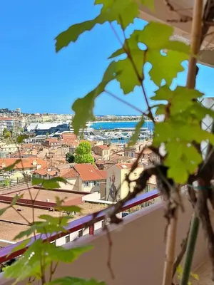 a view of a city from behind a plant at Le charme de Cannes in Cannes