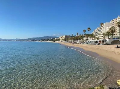 a beach with palm trees and buildings and the ocean at Grand 2 pieces- Marche Forville in Cannes