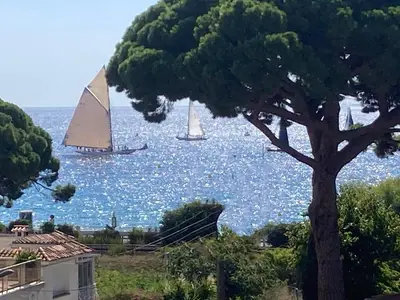 a sail boat in the water with a tree at Cannes Beach Access, Private Room in Shared 3-Bedroom Apartment, Private Bathroom, Living Room with Sea View Suite Parentale salle de bain privée accès plages & vue mer du salon dans appartement partagé chez l'habitant in Cannes