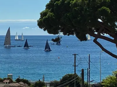 a group of sailboats on the water with a tree at Cannes Beach Access, Private Room in Shared 3-Bedroom Apartment, Private Bathroom, Living Room with Sea View Suite Parentale salle de bain privée accès plages & vue mer du salon dans appartement partagé chez l'habitant in Cannes