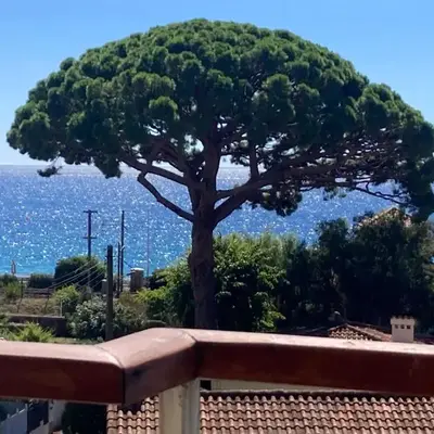Cannes Beach Access