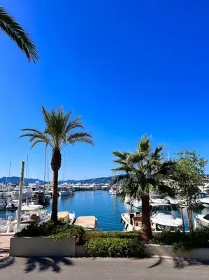 a view of a marina with palm trees and boats at Studio palais des festivals Croisette in Cannes